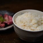 Shichirin Sumibiyakiniku Waya - 