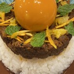 Spice curry 43 - ドライカレー