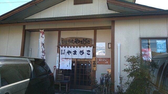 元祖 手打生そば やまびこ - 山都（そば）の写真