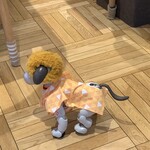 ペンギン カフェ - 