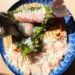 いけす料理 うず潮 - クロの活き造り