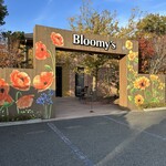 Bloomy's - 