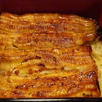 鰻割烹 伊豆栄 本店 - うな重（竹）アップ