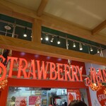 STRAWBERRY MANIA - 