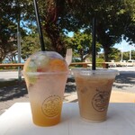 PAINAGAMA BLUEBOOTH - 