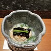 日本料理 木の花