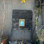 Antique Café on ℃ - 