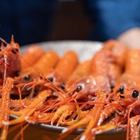 馳走西健一 - 2024.2 焼津産活けラングスティーヌ