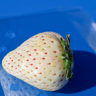 フルーツショップ青森屋_1