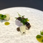 プレゼンテ スギ - [寒鰆]