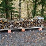 フォリオリーナ・デッラ・ポルタ・フォルトゥーナ - すっかり冬支度が！