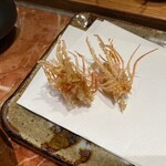 Tempura Kanno - 