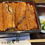 うなぎの豊川 - 特上でご飯大盛り！