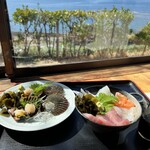 Motoya - 海鮮丼、活けひおうぎ貝お造り