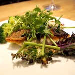 スガハラ - 三重 平鱸 ソテー + 栃木 ブロッコリー・芽キャベツ・せり + 平鱸 白子