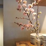 スガハラ - 内観（河津桜）