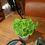 焼肉うしごろ - サンチュその1です。