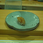 こい勢 - ガサエビ