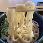 Bannoya - 生醤油うどん（麺リフト）