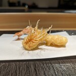 Kyoubashi Tempura To Sushi Ishii - 