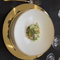 クイントカント - 