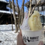 HARVEST NAGAI FARM - 