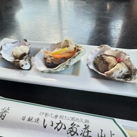 いかだ荘 山上 - 