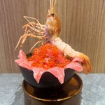 札幌海鮮丼専門店 すしどんぶり - 北海道プレミアム丼