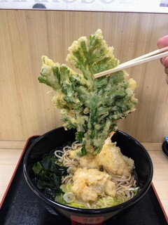 Hakone Soba - 春菊天