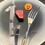 プレゼンテ スギ - 龍泉刃物 colors SK04・FR05