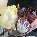 プレゼンテ スギ - トレビス