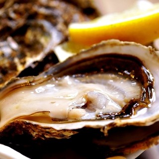 とれたて根室港_2