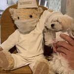 ザ・ペニンシュラ東京 - 