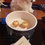 ザ・ペニンシュラ東京 - 