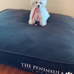 ザ・ペニンシュラ東京 - 