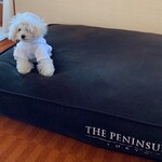 ザ・ペニンシュラ東京 - 