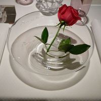 ラール・エ・ラ・マニエール - 赤い薔薇＠2013/12