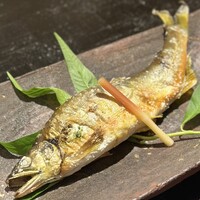 新ばし 星野 - 