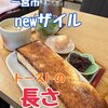ザイル - 