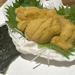 ナンゴクサカヤ ティーダ - 