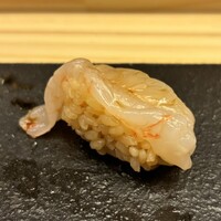 鮨処 凜 - ぼたんえび