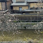 京趣味 菱岩 - 梅の咲く白川