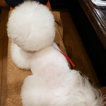 旬采 - ゆっくりさせて戴きました