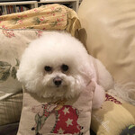 旬采 - お家に帰って・・