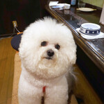 旬采 - ここが私達の指定席