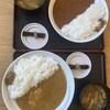 たけやま - 生き地獄カレー＆手羽先グリーンカレー