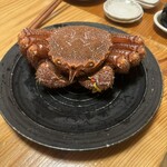 郷土料理 おが - 