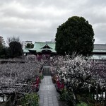 亀戸・養生料理　高の - 