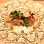 寿司 蒼 - 甘海老とカンパチの菜園風マリネ