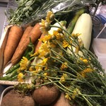 イタリア料理 GINZAYA - 